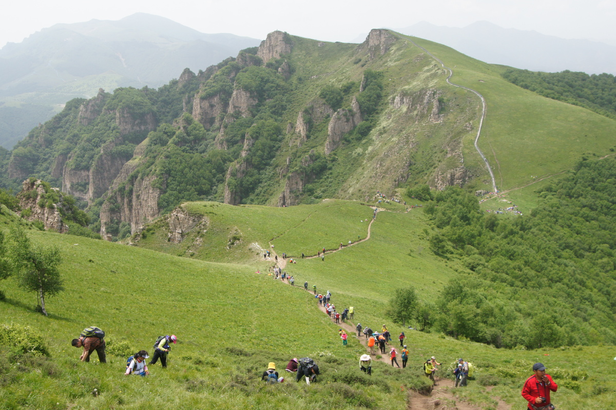 塔尔寺村北灵山黄草梁柏峪