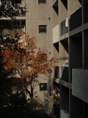 372367