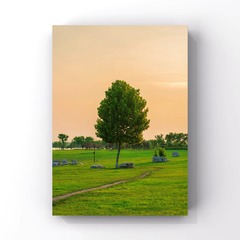 0BBAB0AA-A519-492E-A2BD-BBDE542E0917/L0/001