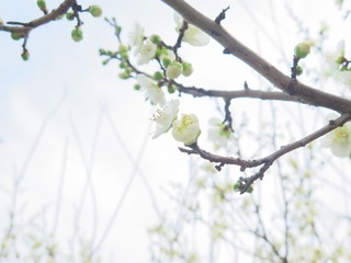 3F9AD660-95D5-496C-8B93-9EC372C27616/L0/001