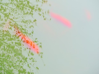 03B83A80-62C8-4DD0-84D3-10A3394A6937/L0/001