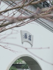 9AC74DEF-24AD-494E-A4CA-5816AC430143/L0/001