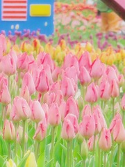 A45CE32B-CE41-43E5-BBDB-063EDBBA7EB5/L0/001