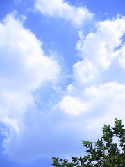 E5809F06-AF01-4A80-83C8-9753226C2432/L0/001