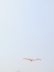 88B7F3DA-1D61-4839-8AE1-5D5E91CFFD5D/L0/001