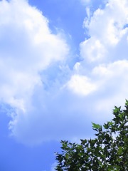 0DF0AC2F-AD5D-40CC-8AE7-6231956C649E/L0/001