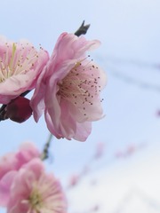 BE4A7116-300C-4906-8F6B-4EBF46A61638/L0/001