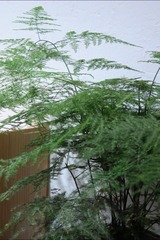 83B2CD87-24DB-4FDB-A3C3-159A32274077/L0/001