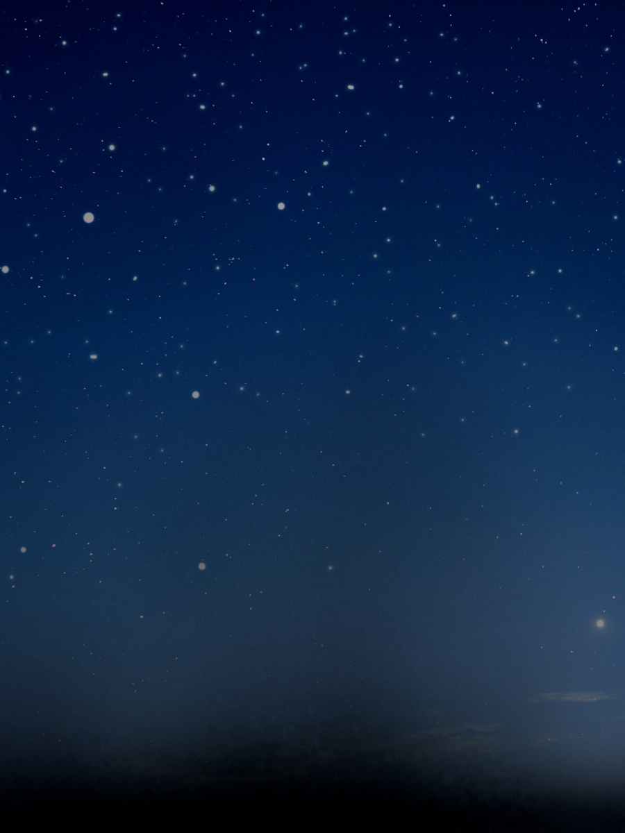 晚夜星空与你足矣