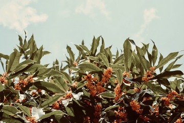 B99BF638-81DE-4076-A949-C84F62E2CE03/L0/001