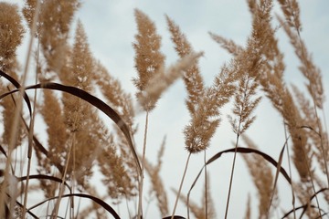 141A0932-5510-449D-A1F3-4F91F019F1D4/L0/001
