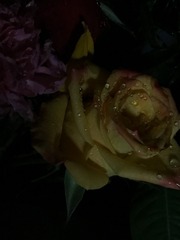 CA6625F9-08AB-4B2C-A5E8-6CD5822E7D76/L0/001