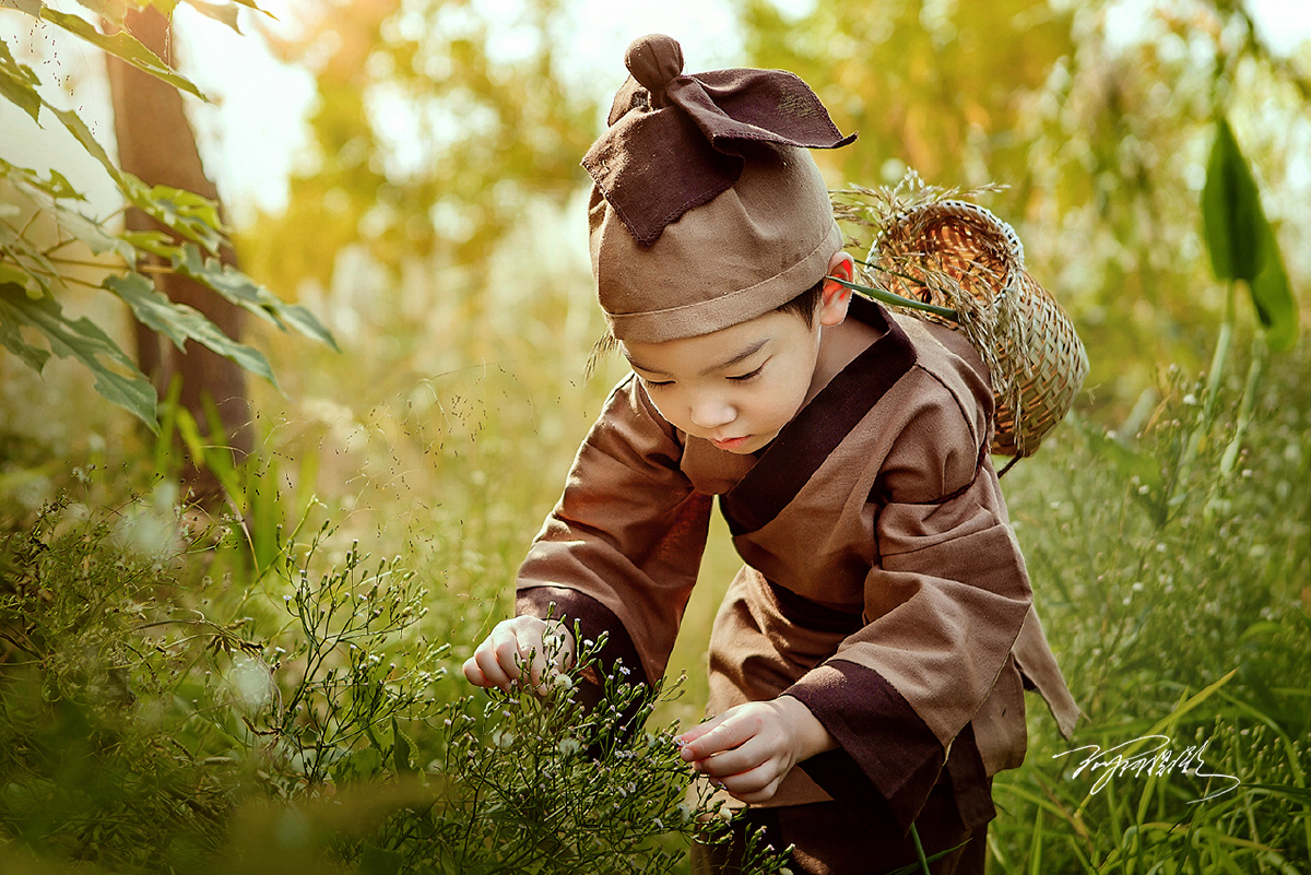 松下问童子言师采药去只在此山中云深不知处