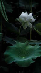 001