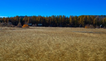 DSC_9107.jpg