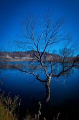 DSC_9183.jpg