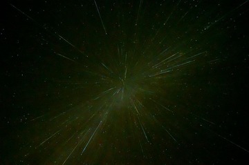 DSC_9421.jpg
