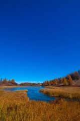 DSC_9432.jpg