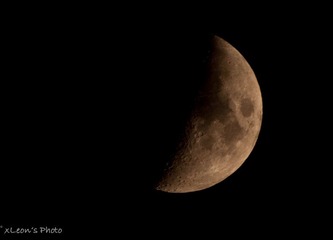DSC_0037-2