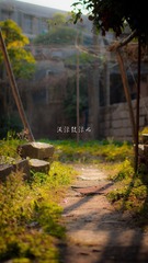 流浪鼓浪屿