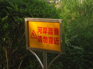283068