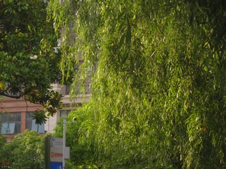 283075