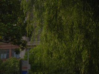 283075