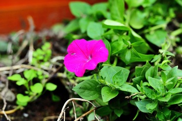_DSC0037_36.jpg