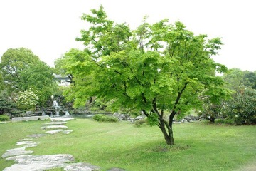IMGP2964.JPG