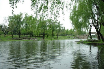 IMGP2971.JPG