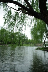 IMGP2972.JPG