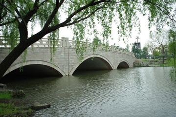 IMGP2973.JPG