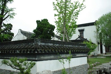 IMGP2977.JPG