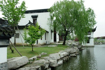 IMGP2979.JPG