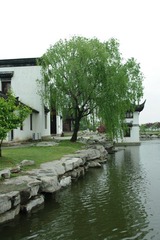 IMGP2981.JPG