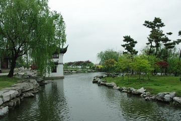 IMGP2982.JPG