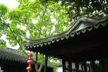 IMGP2997.JPG