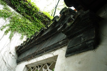 IMGP3004.JPG