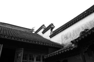 IMGP3015.JPG