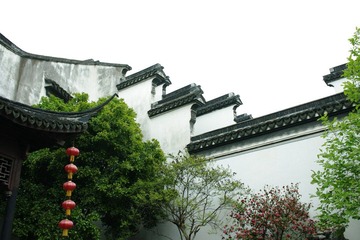 IMGP3017.JPG