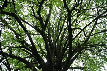 IMGP3042.JPG