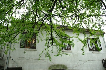 IMGP3048.JPG
