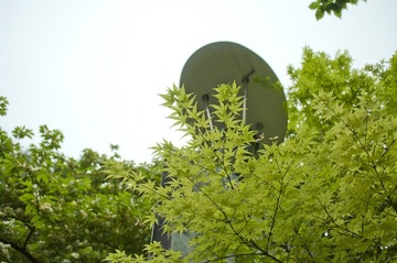 IMGP3369.jpg
