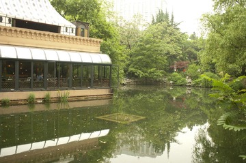 IMGP3383.jpg