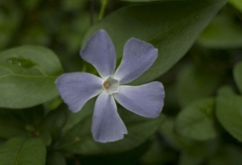 IMGP3397.jpg