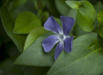 IMGP3398.jpg