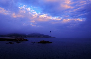 IMG_2614_