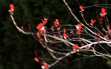 IMG_7191_