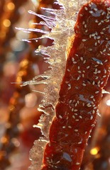 IMG_1714_