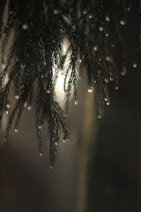 C42006B5-F8C5-4E35-8455-411C9F595ACC/L0/001